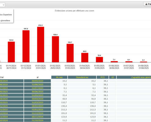 Customer Portal: Consumi gas